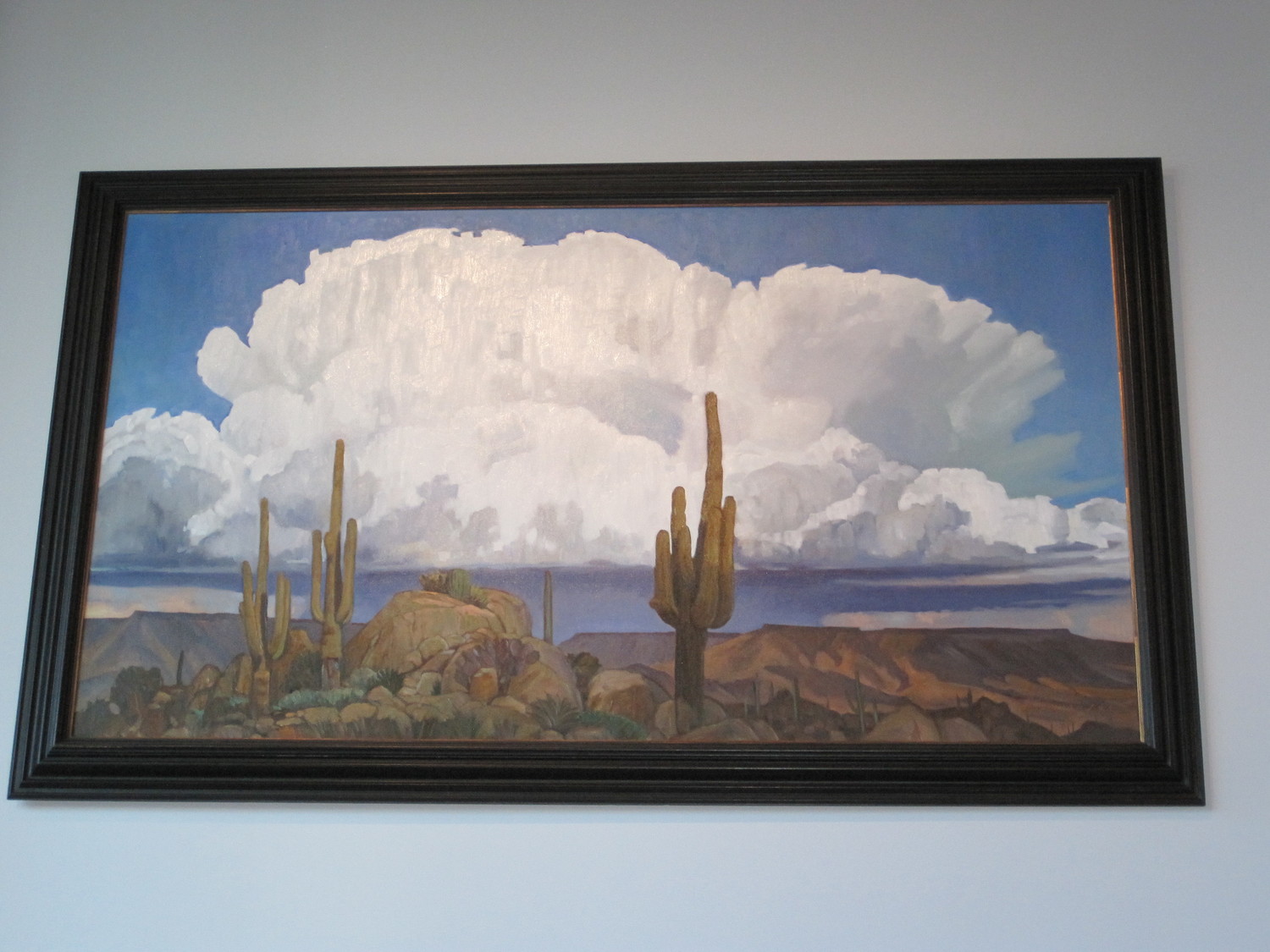 Sonoran Desert Monsoon